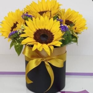 Box Girasoles