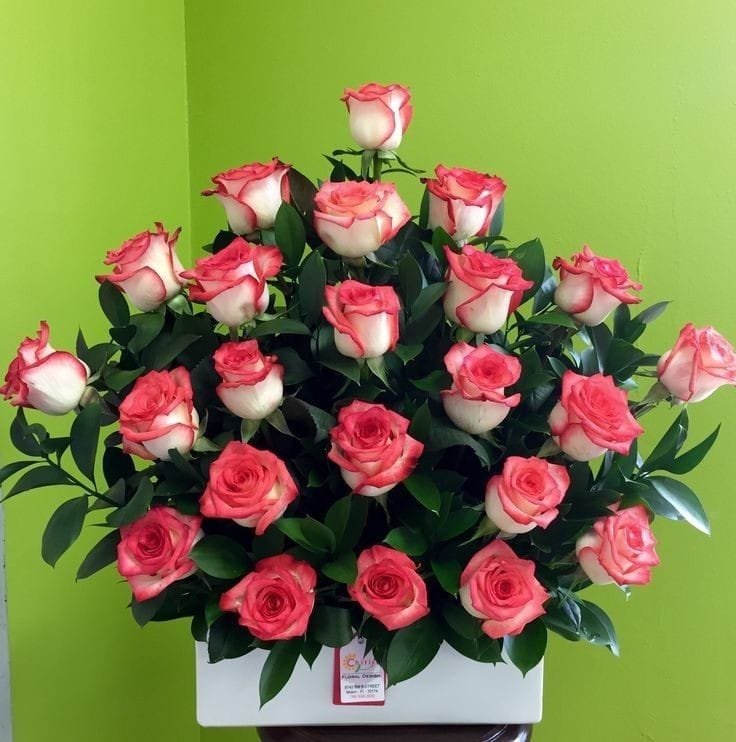 Box Rositas